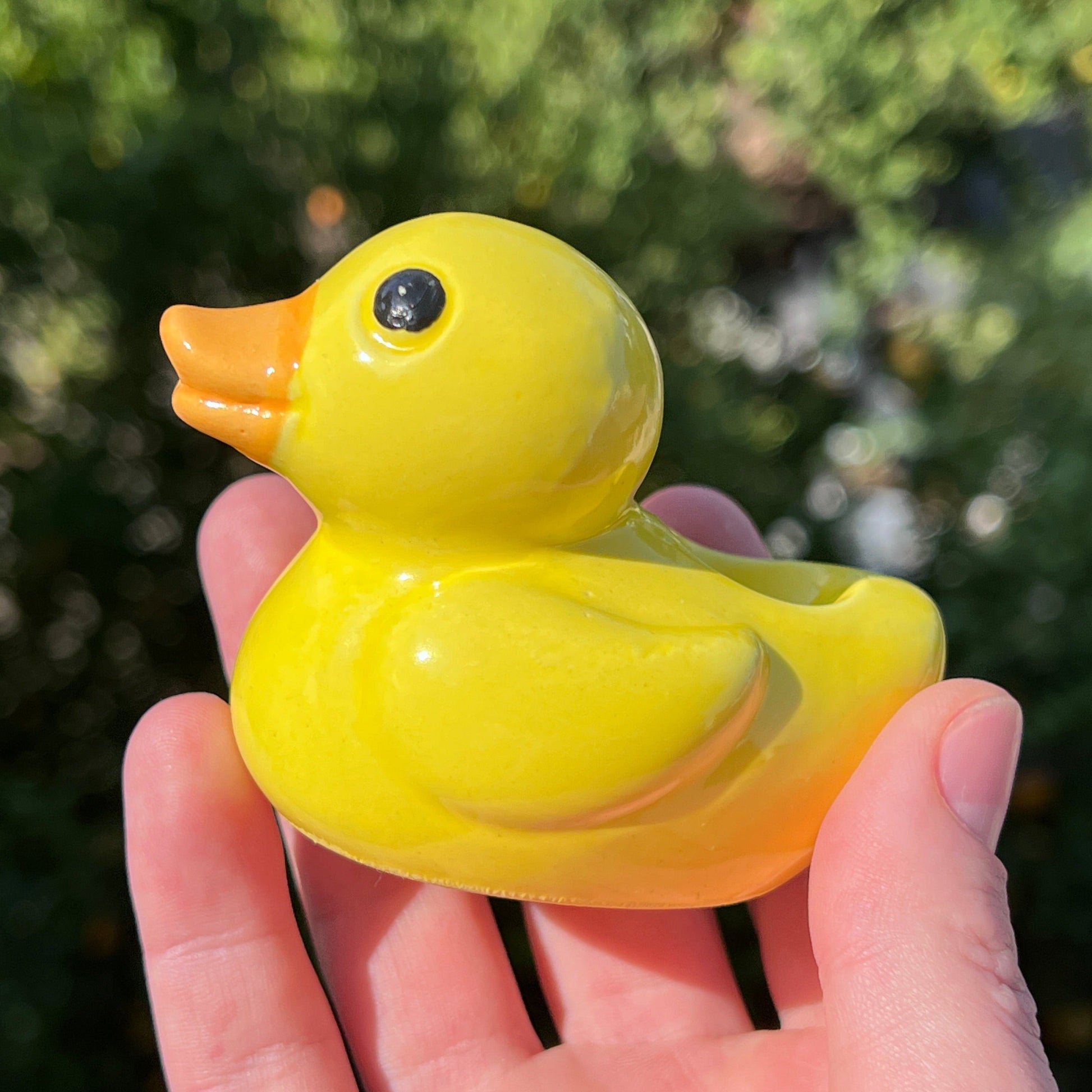 duck smoking pipe