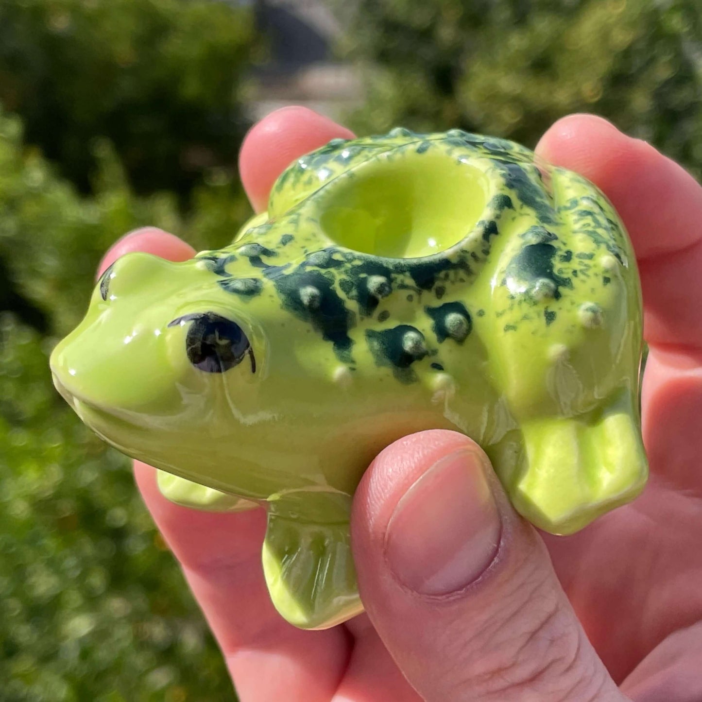 frog smoking pipe