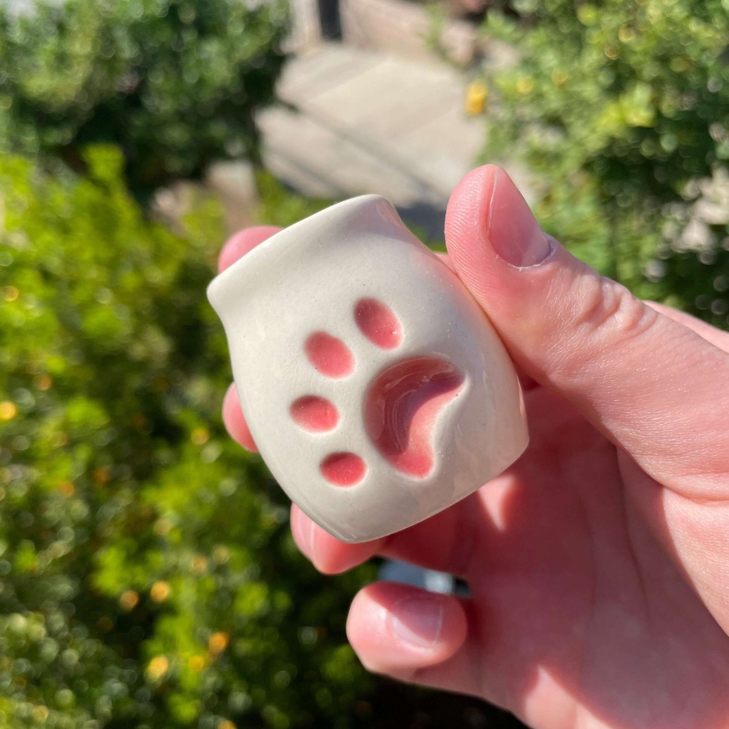 paw pipe stash jar